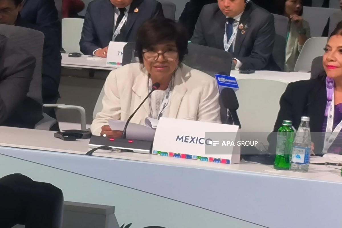 Представитель Мексики: Мы благодарим Азербайджан за организацию WUF13 на высоком уровне