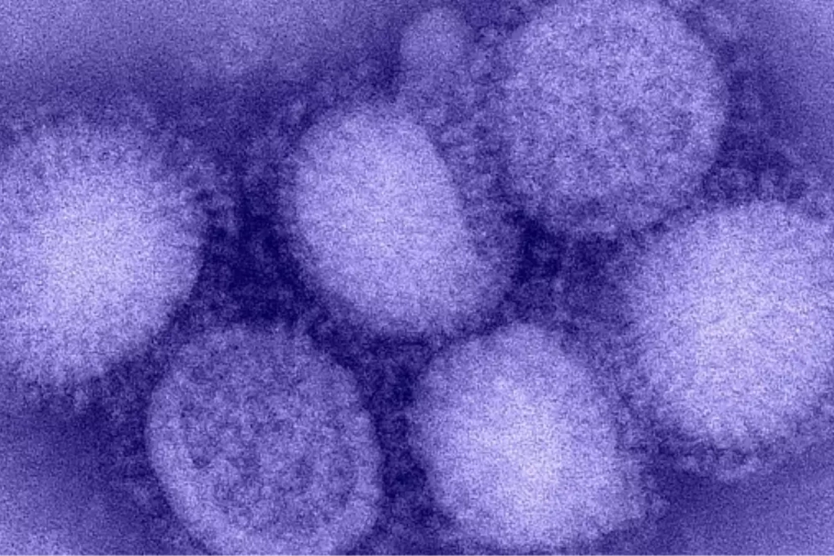 ПРЕДУПРЕЖДЕНИЕ: Новый штамм гриппа "H3N2" стремительно распространяется по миру