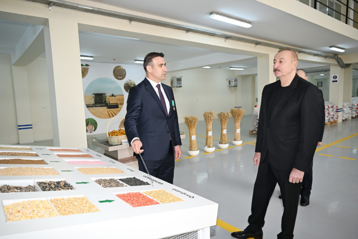 Президент Азербайджана ознакомился с деятельностью семеноводческого предприятия в Сабирабадском промквартале