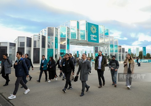 Пятый день климатической конференции COP29