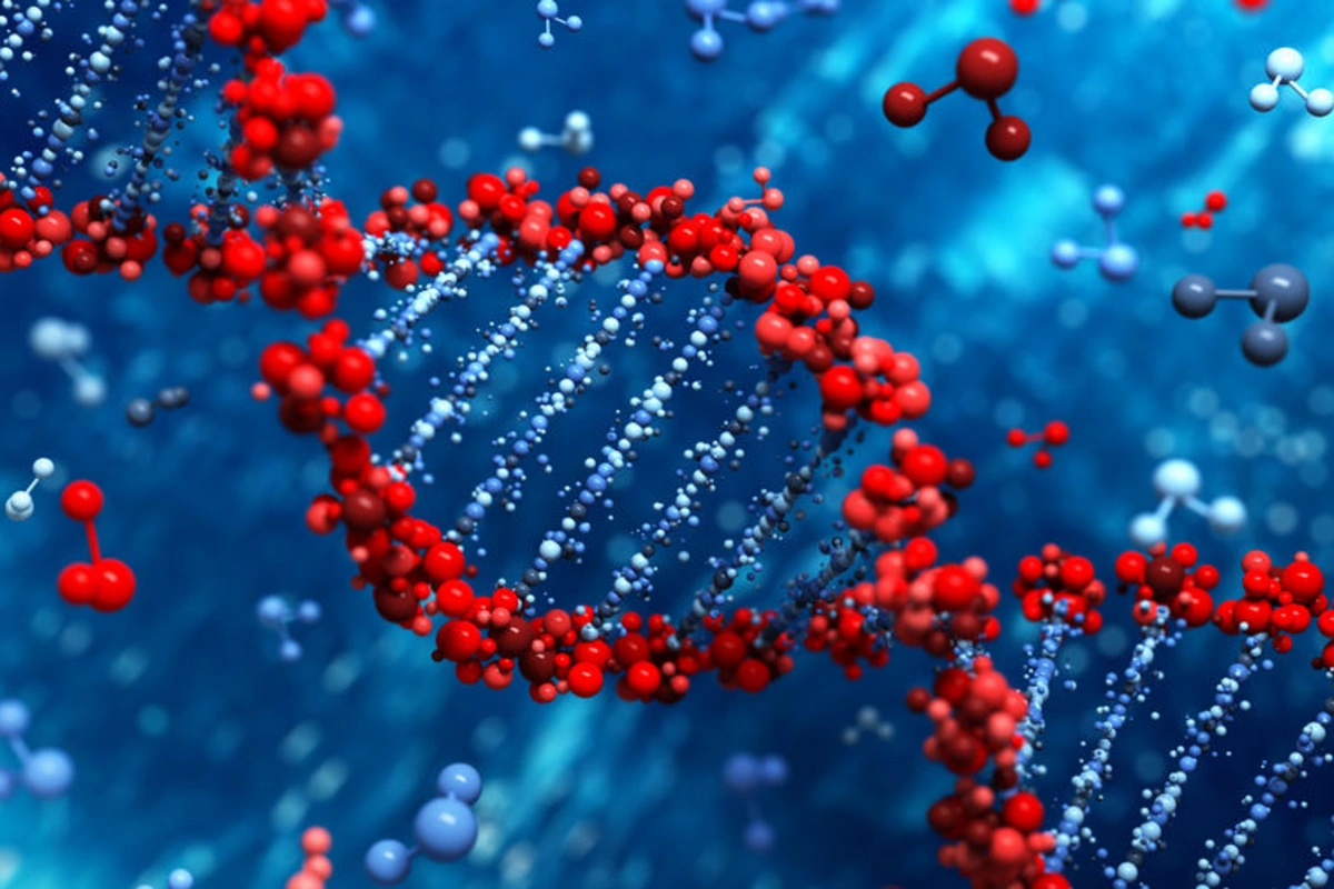 Раскрыта генетическая мутация, провоцирующая аутизм и шизофрению