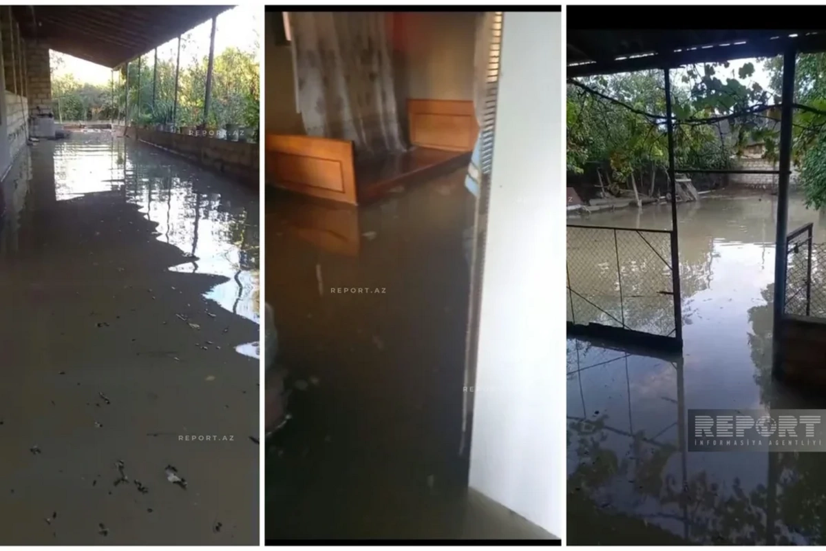 Реки вышли из берегов в Шеки: село Гудула оказалось в воде