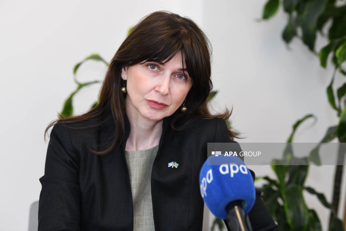 Резидент-координатор ООН: Подготовка к COP29 в Азербайджане идет очень хорошо