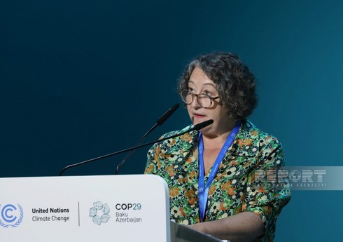 Рут Дэвис: Настало время применить интегрированный подход при решении экологических проблем