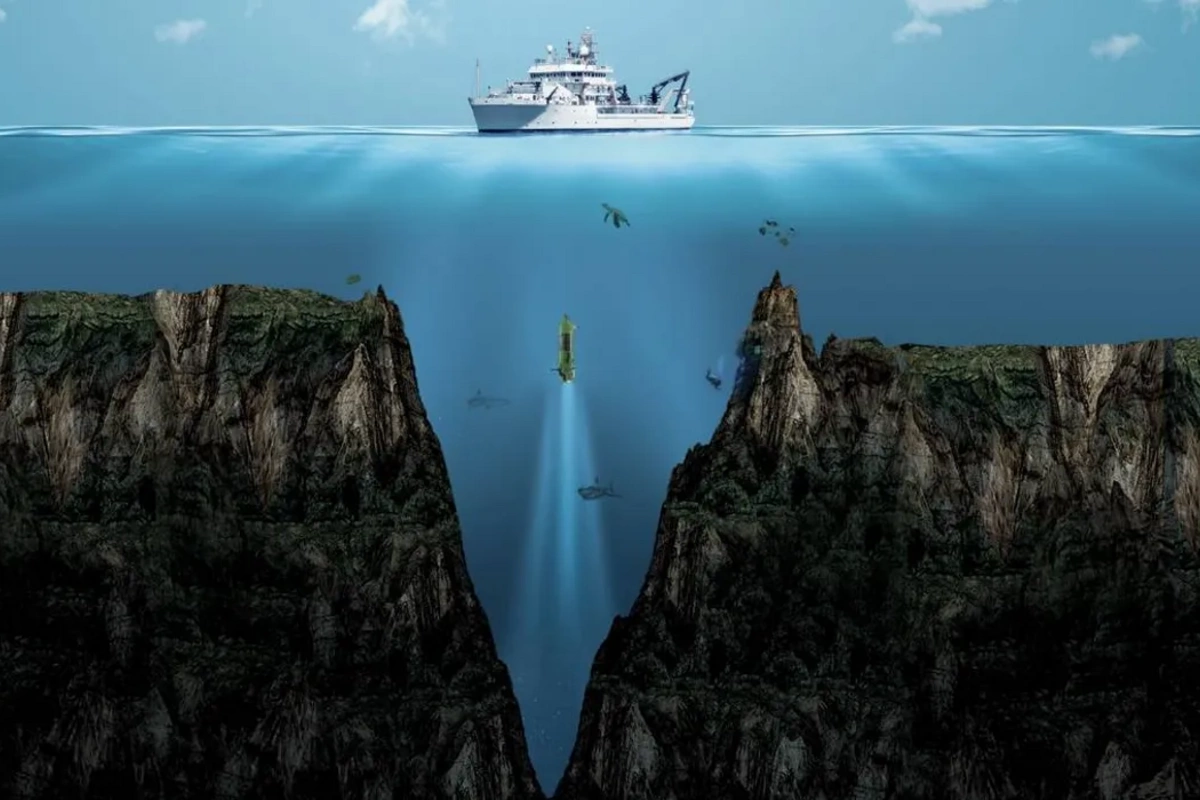 Рыбаки достали со дна Марианской впадины загадочное существо