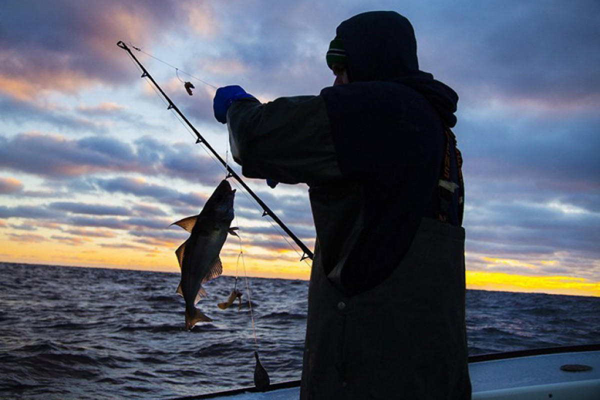 С сегодняшнего дня запрещен вылов рыбы во внутренних водоемах Азербайджана