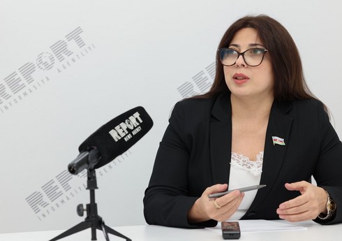 Сабина Салманова: Произошедшее полностью противоречит стратегическому партнерству Азербайджана и России