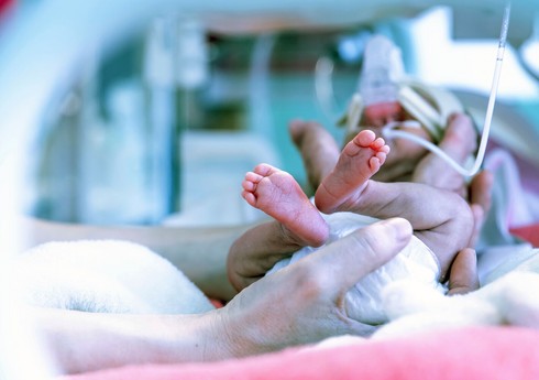 Самый распространенный гербицид в мире оказался опасен для младенцев