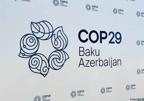 Саудовская Аравия в рамках COP29 запустила первую биржу углеродных кредитов
