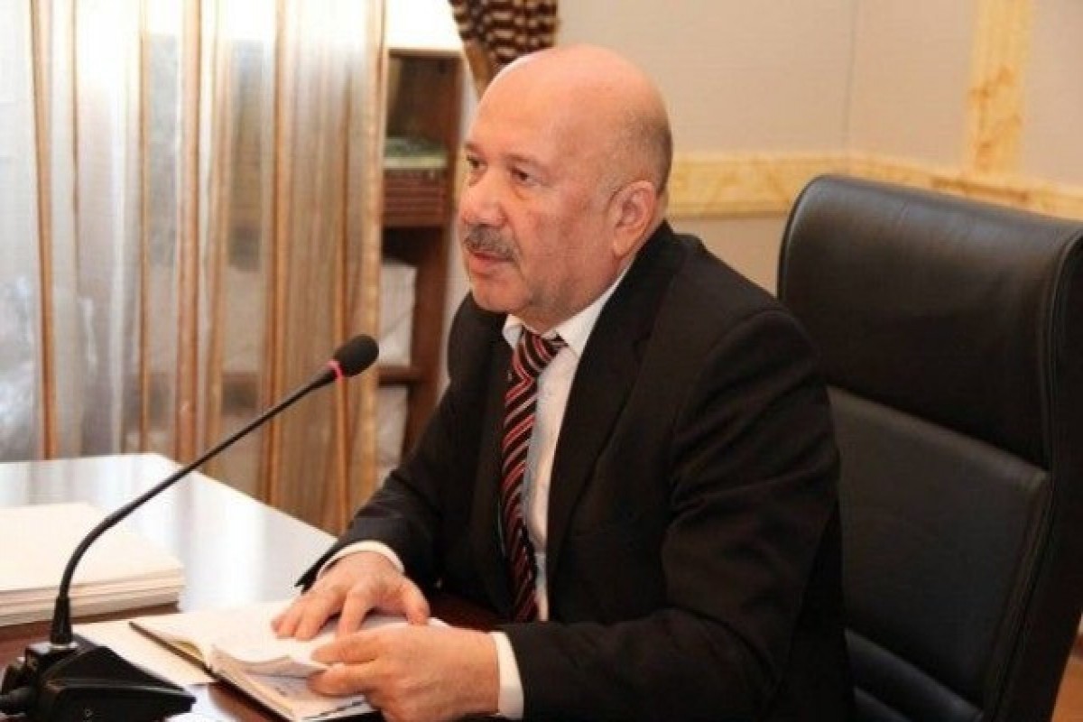 Саяд Аран: Полномочия депутатов должны быть расширены