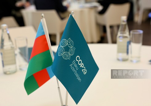 Шахаб Шаян: Азербайджан при проведении COP29 может использовать опыт Дубая для развития туризма
