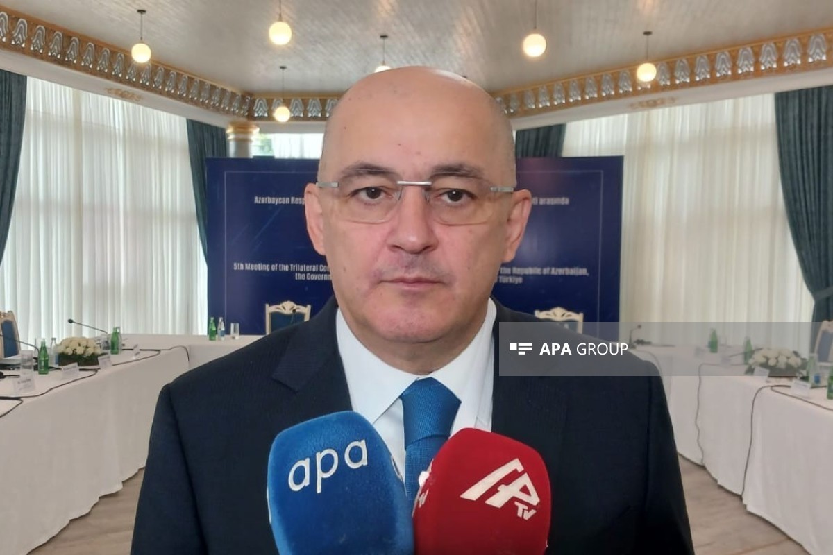 Шахин Багиров: Продолжается работа по присоединению Азербайджана к NCTS