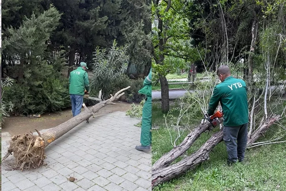 Сильный ветер в Баку привел к удручающему последствию