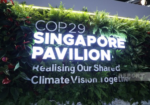 Сингапур представил национальный павильон на COP29 в Баку