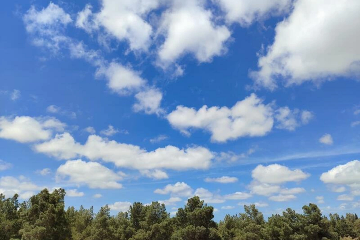 Синоптики раскрыли, чего ожидать в последний месяц зимы