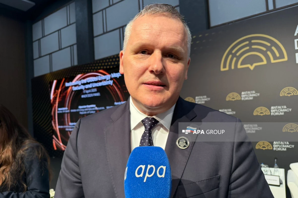 Словенский министр: У нас отличные отношения с Азербайджаном в сфере энергетики, мы будем расширять их