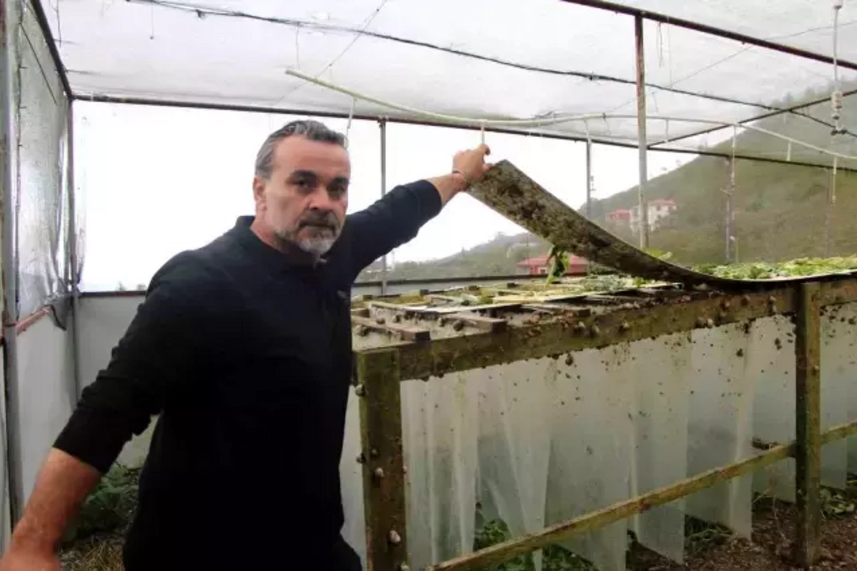 Случайная находка изменила его жизнь - теперь он зарабатывает 3000 евро