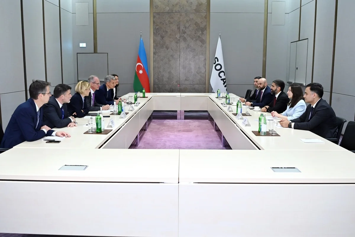 SOCAR и TotalEnergies обсудили сотрудничество по энергетическому переходу