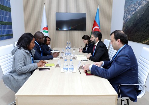 SOCAR изучает возможности сотрудничества с Гвинеей-Бисау в сфере "зеленой энергии"