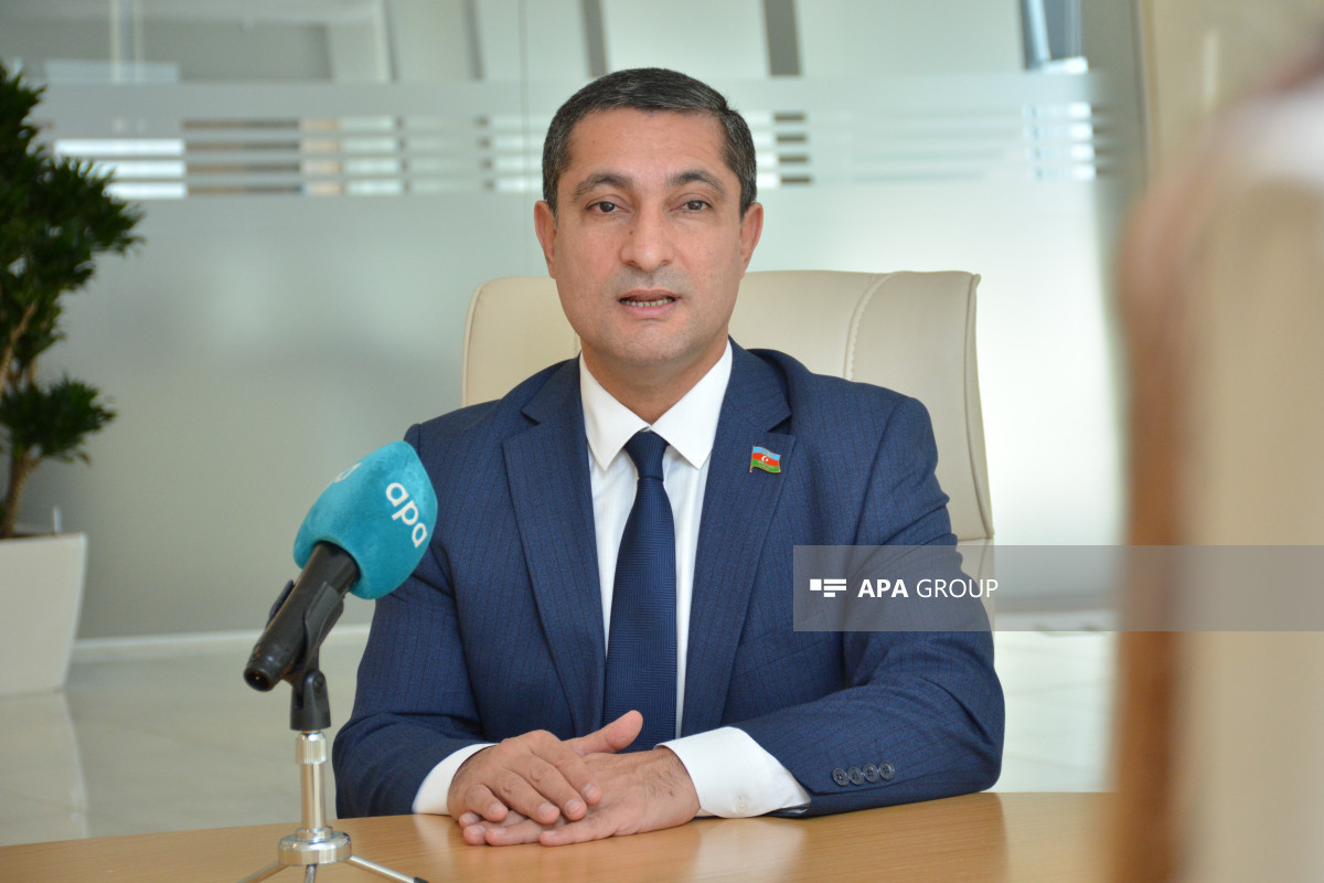 Солтан Мамедов: Внесение проголосовавших против нашей делегации в ПАСЕ депутатов в список «нежелательных лиц» является правом Азербайджана