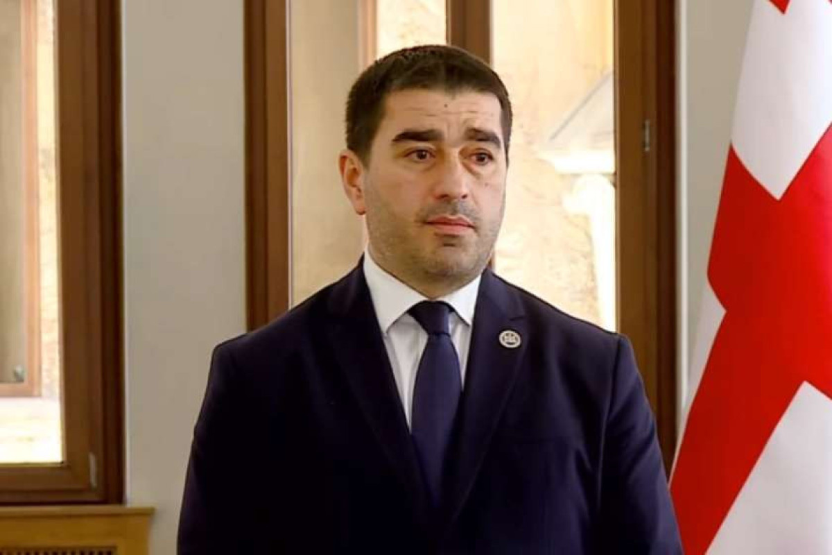 Спикер парламента Грузии отказался встречаться с европарламентариями, прибывшими в Тбилиси