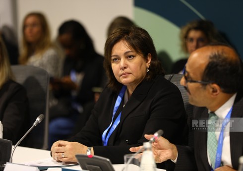 Тагиева: Система раннего оповещения позволит защитить сообщества от климатических угроз