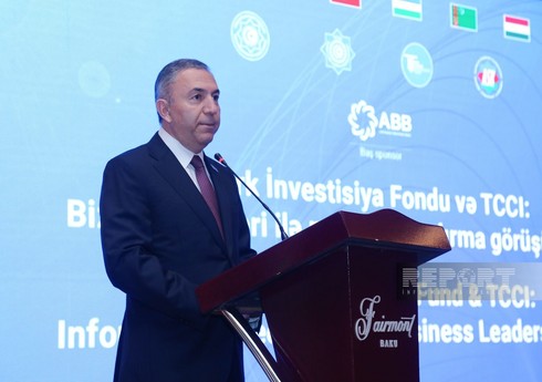 Тахир Миркишили: Средний коридор усиливает позиции тюркского мира в глобальной экономической системе 