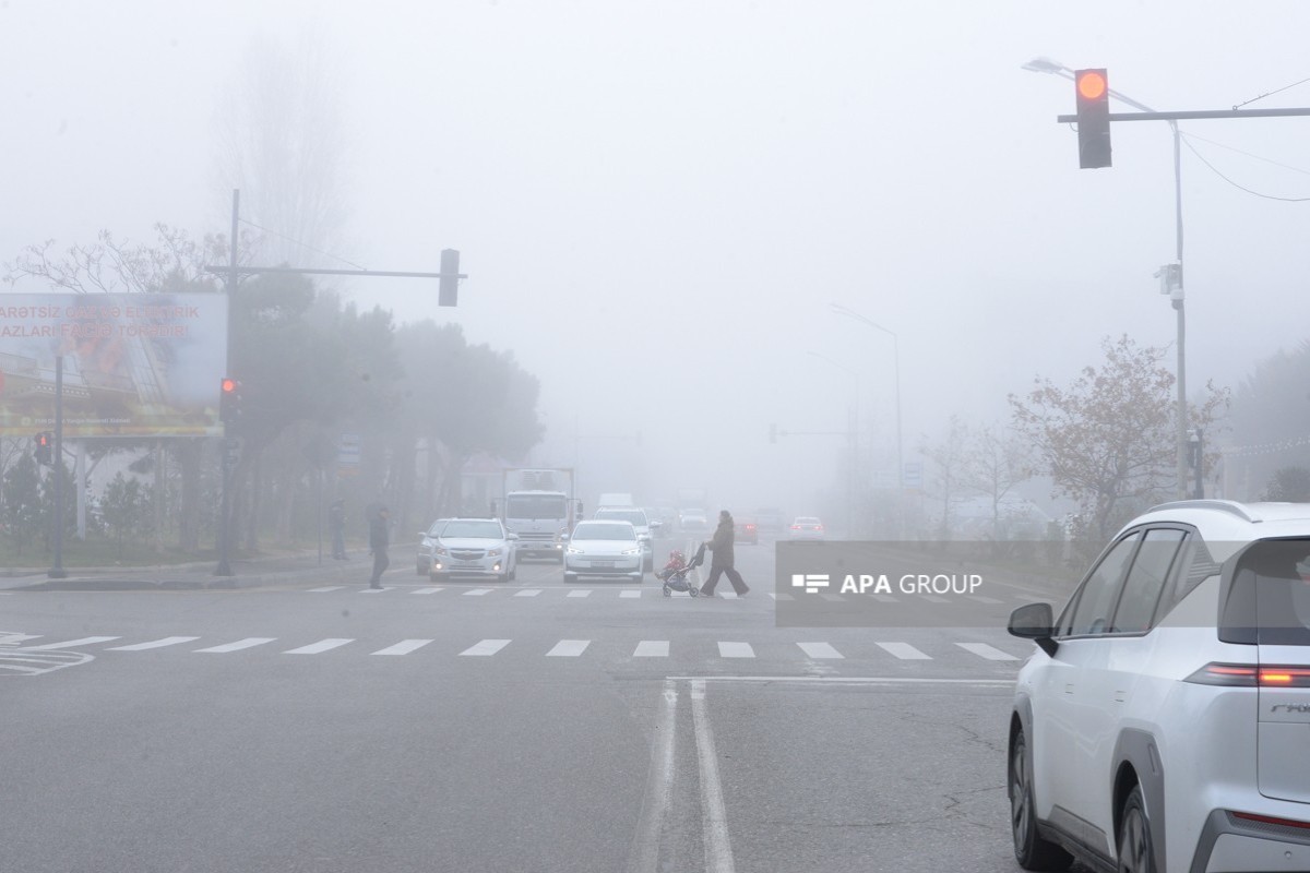 Туманная погода сохранится до второй половины дня
