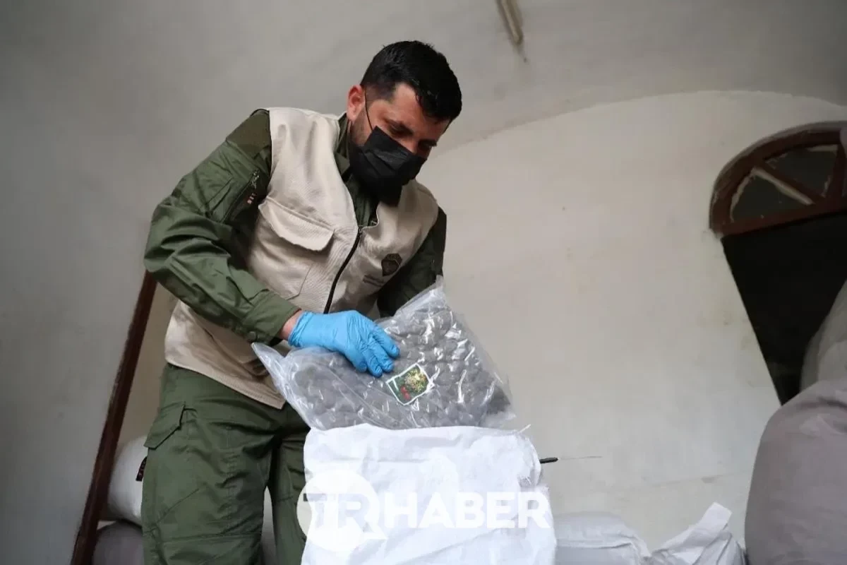 Турция и Сирия провели совместную операцию, обнаружено и изъято 236 кг наркотиков