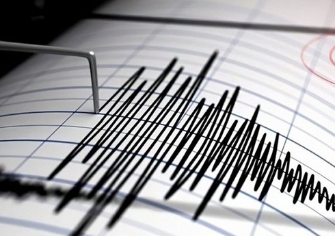 У берегов Королевства Тонга произошло землетрясение магнитудой 7,1