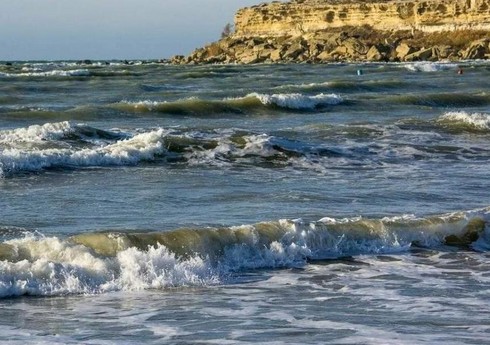 У берегов Мексики произошло сильное землетрясение