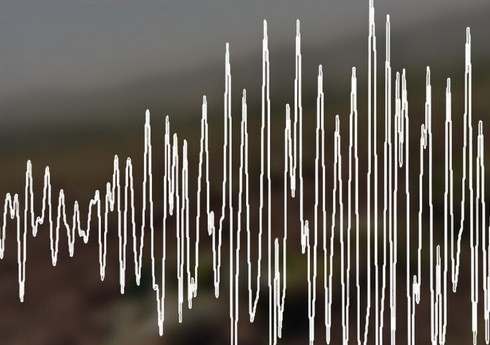 У берегов Японии произошло землетрясение магнитудой 5,1