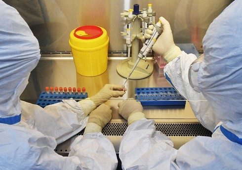 Ученые добились прорыва в борьбе с одним из самых опасных вирусов на Земле