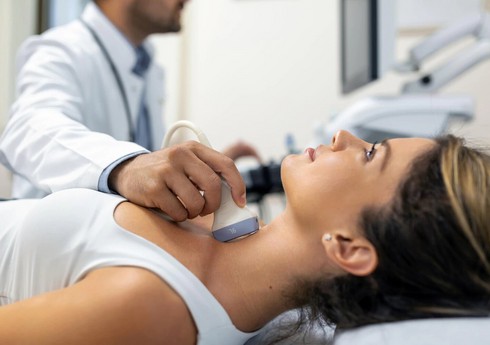 Ученые добились прорыва в понимании регенерации органов