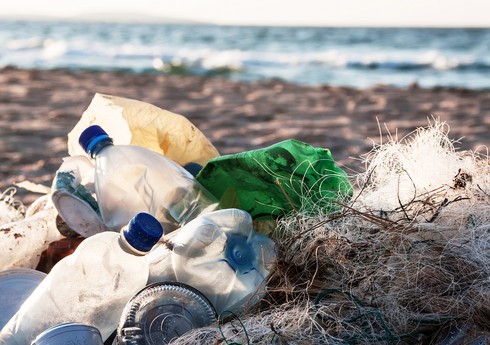 Ученые добились революционного прорыва в создании перерабатываемого пластика