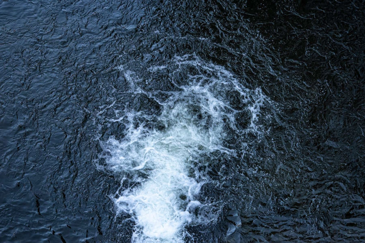 Ученые обнаружили сотни таинственных гигантских вирусов в океанах по всему миру