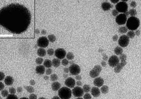 Ученые создали пластырь из серебра для лечения меланомы