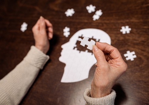 Ученые выяснили, что болезнь Альцгеймера поражает мозг в два этапа