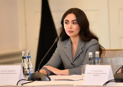 Ульвия Мамедова: Госагентство продолжает комплексные меры для охраны водных ресурсов страны