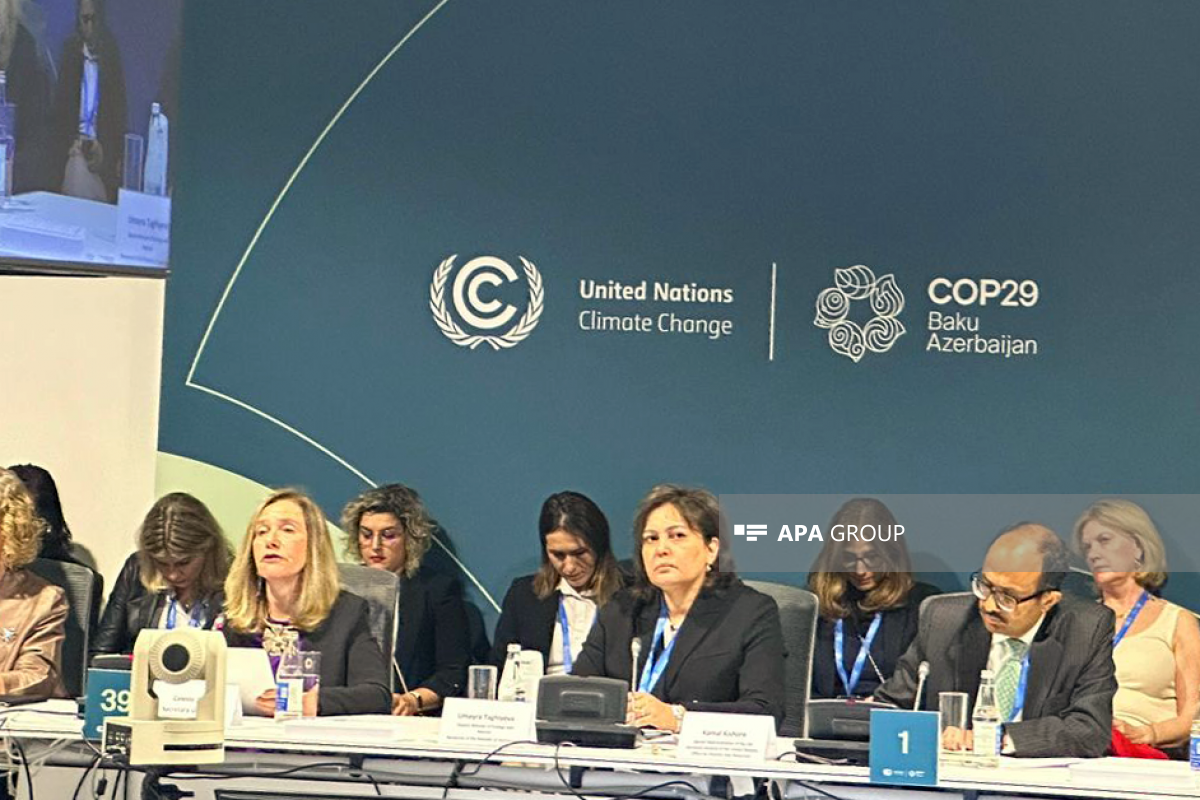 Умайра Тагиева: В Азербайджане участились тепловые волны