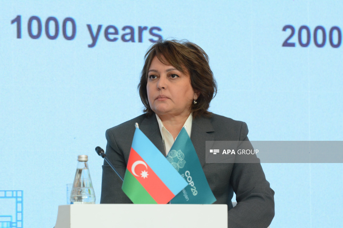 Умайра Тагиева: В этом году число паводков превысило 102, увеличился объем третьего издания  «Красной книги»