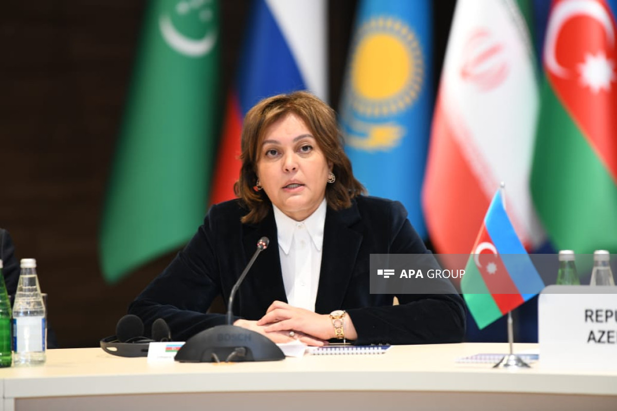 Умайра Тагиева: В рамках нашего председательства в COP должно быть достигнуто соглашение по климатическому финансированию