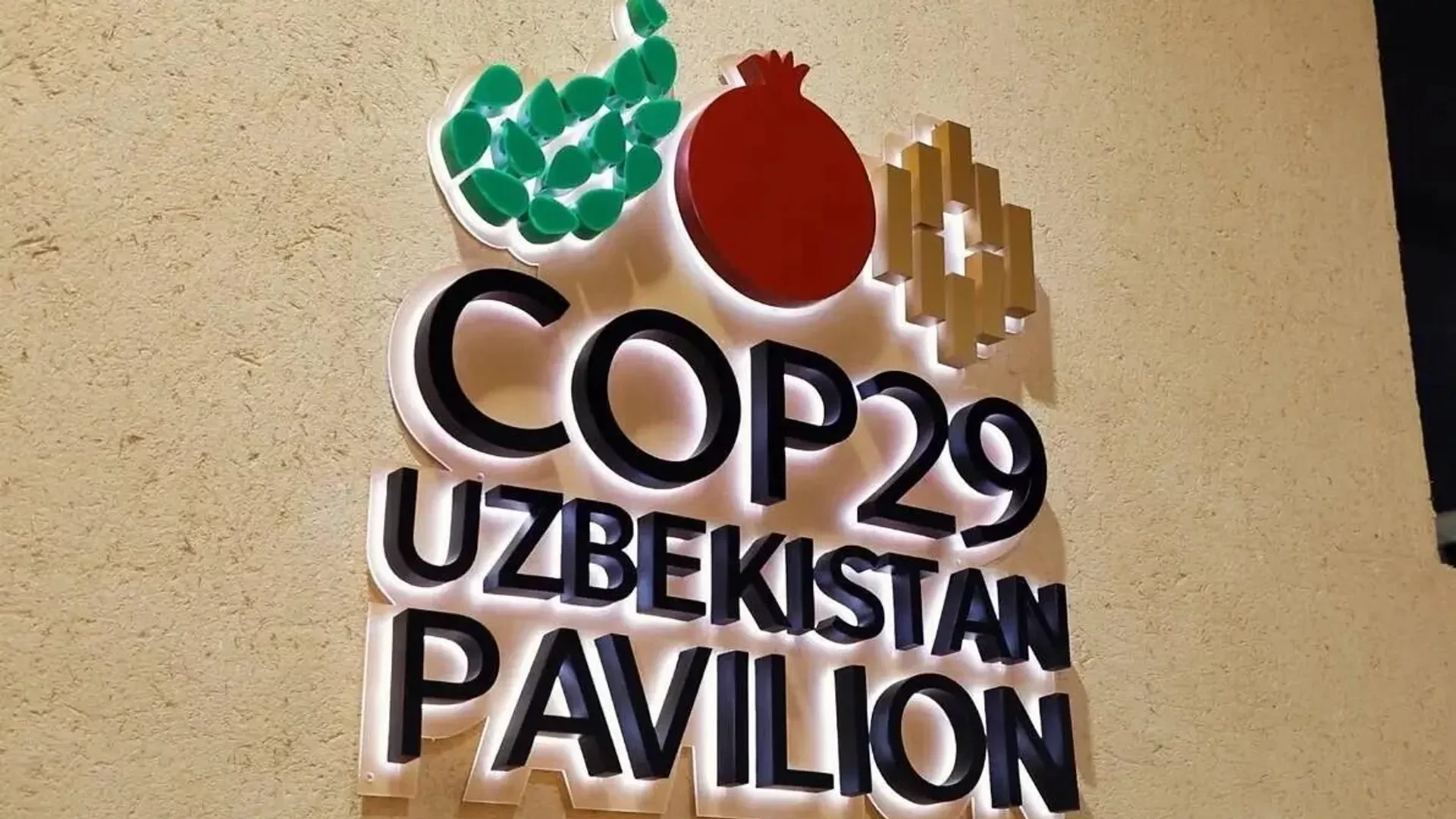 Узбекистан реализует важные инициативы в области изменения климата