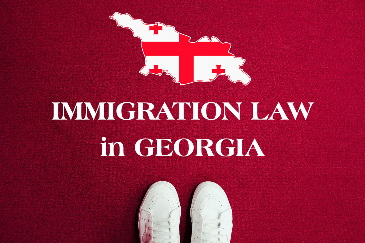 Ужесточение грузинского гостеприимства: Упрощенная депортация, запреты на въезд, требование разрешения на работу-АНАЛИТИКА