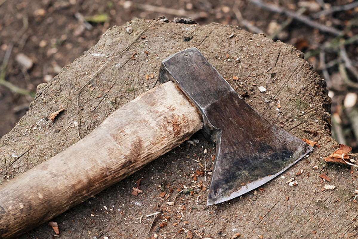 В Азербайджане душевнобольной сын зарубил мать топором и тяжело ранил сестру