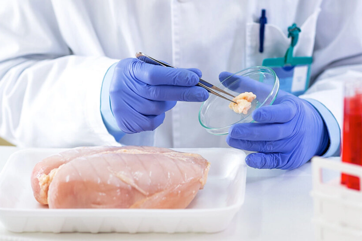 В Азербайджане могут быть изменены нормы питания для социальных учреждений