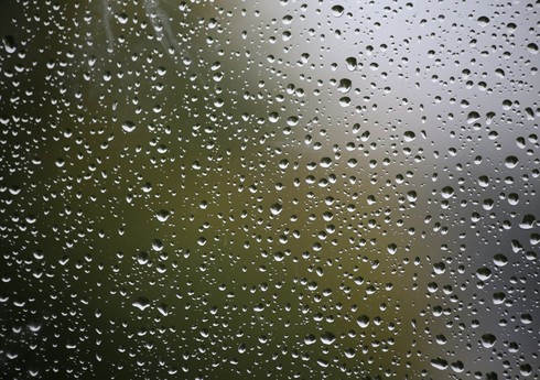 В Азербайджане наблюдается дождливая погода, в горных районах идет снег