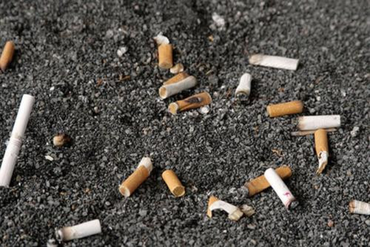 В Азербайджане повышен штраф за загрязнение окружающей среды отходами табачных изделий