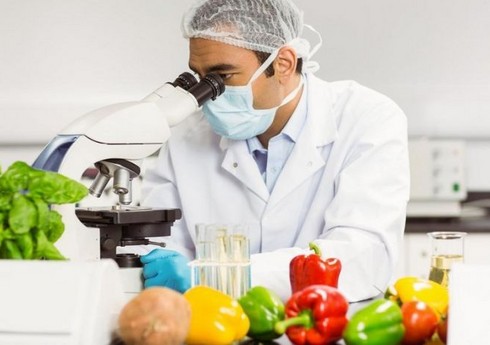В Азербайджане производство и продажа опасных продуктов питания будет караться до 10 годами тюрьмы 