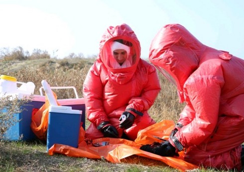 В Азербайджане пройдет эпизоотологический мониторинг против птичьего гриппа